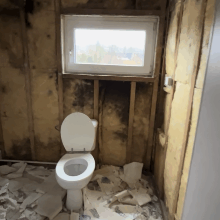 Capture d’écran 2025-11-18 à 13.21.56