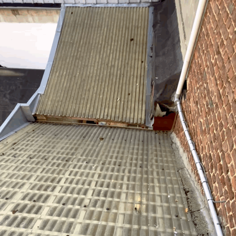 Capture d’écran 2025-11-18 à 13.56.16