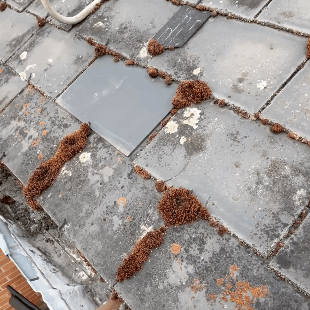 Capture d’écran 2025-11-18 à 14.58.30