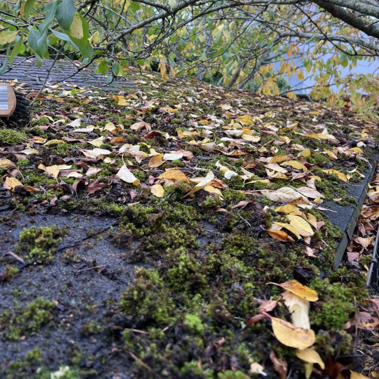 att.4sm16NbnDWfJVDnh2IigSrXN25vBxC2yWQneP5-Civo 2